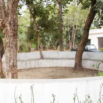 Wild Haven Resort, Bandhavgarh 3